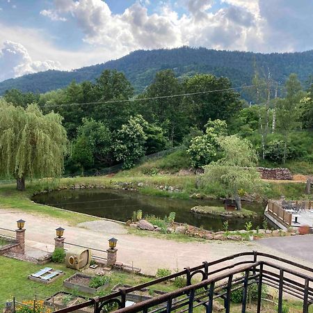 Aux Gites De L'Etang - Thannenkirch Bergheim Exterior photo
