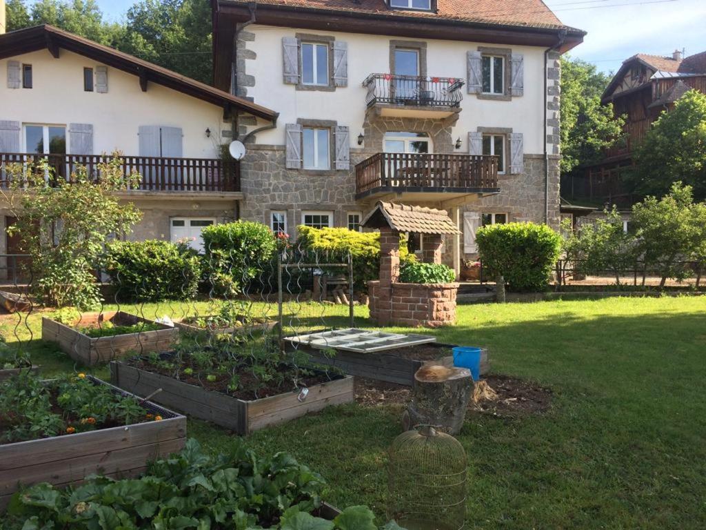 Aux Gites De L'Etang - Thannenkirch Bergheim Exterior photo