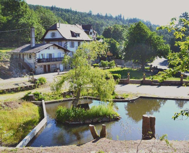 Aux Gites De L'Etang - Thannenkirch Bergheim Exterior photo