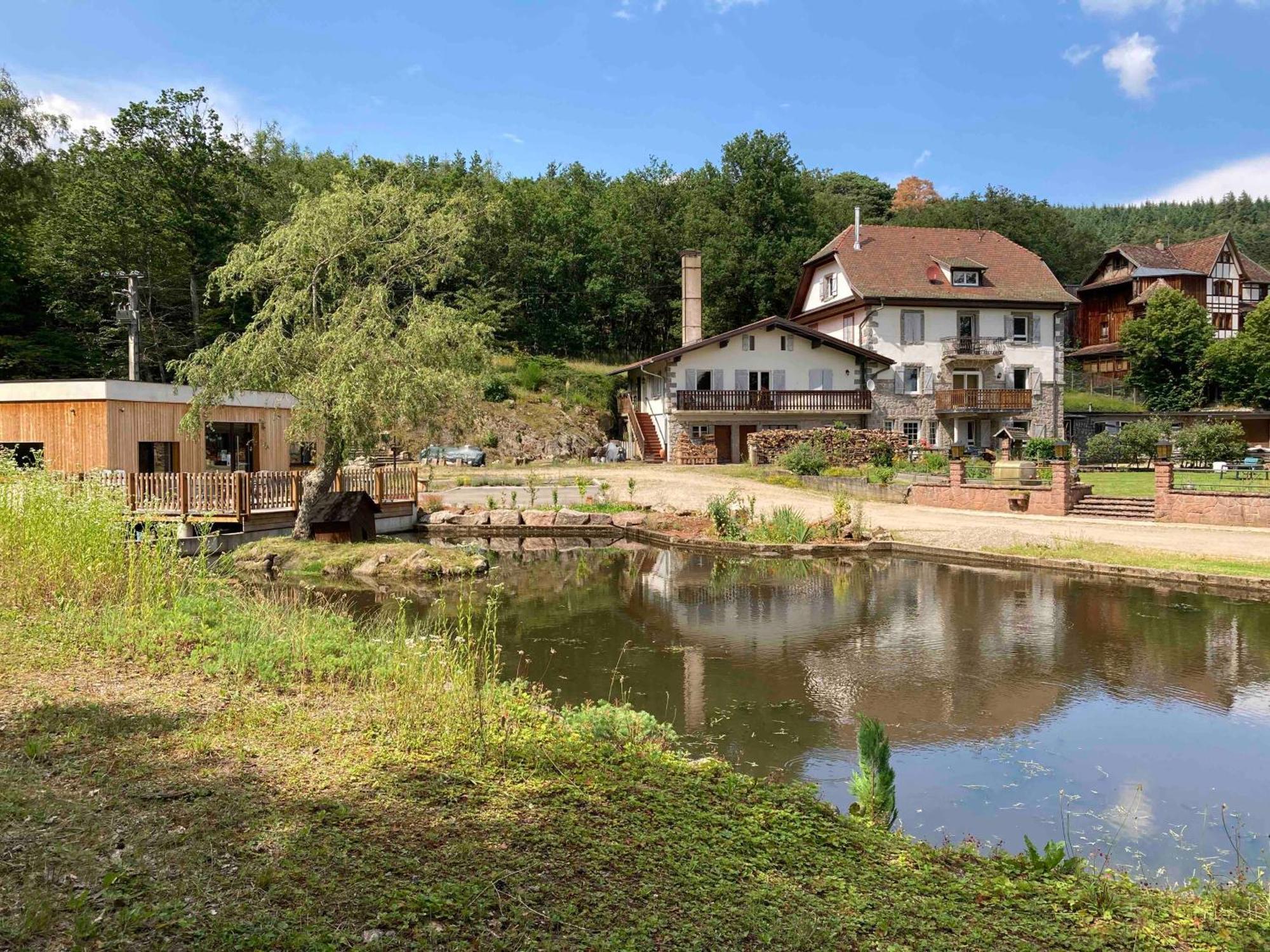 Aux Gites De L'Etang - Thannenkirch Bergheim Exterior photo