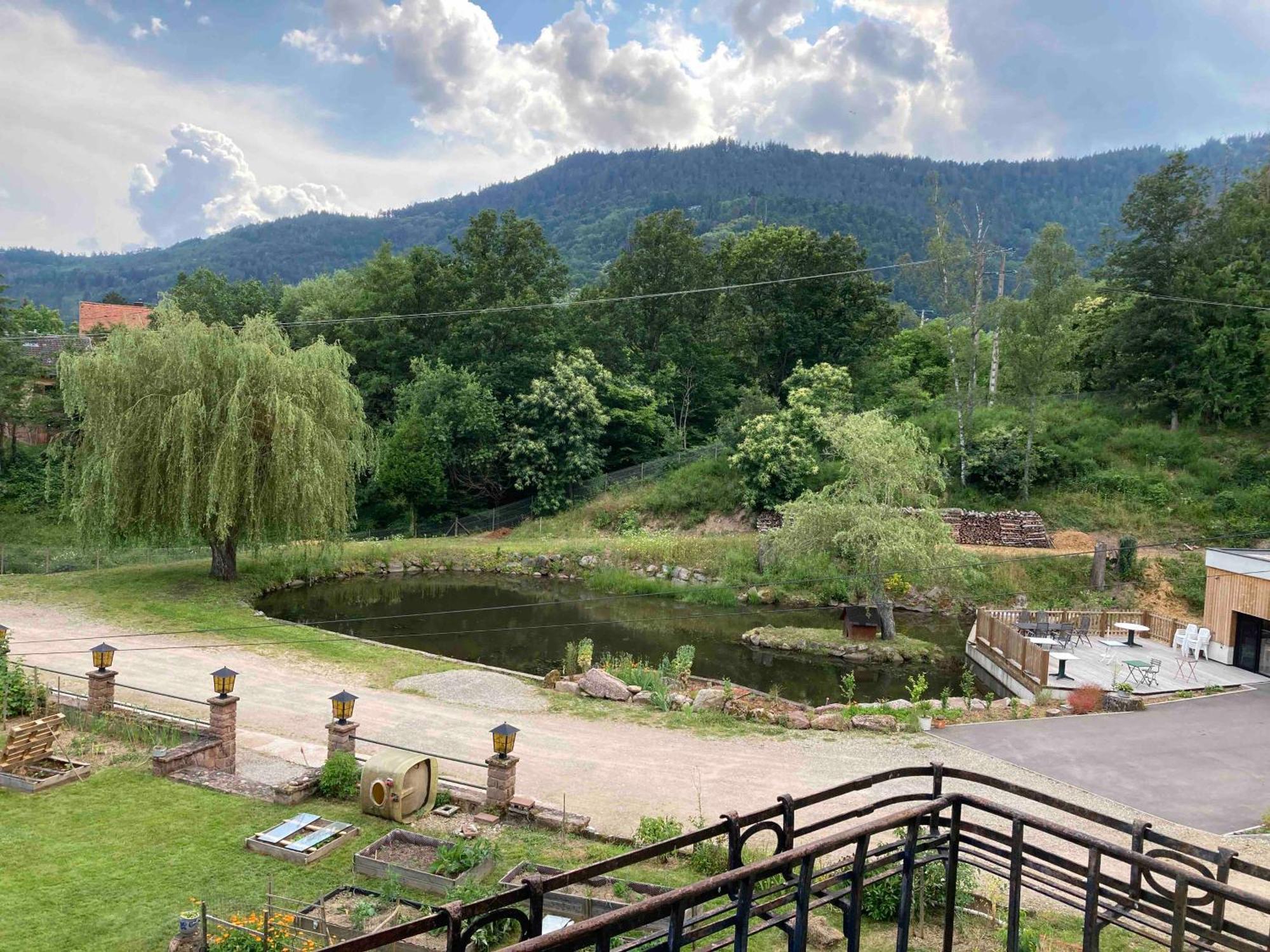 Aux Gites De L'Etang - Thannenkirch Bergheim Exterior photo